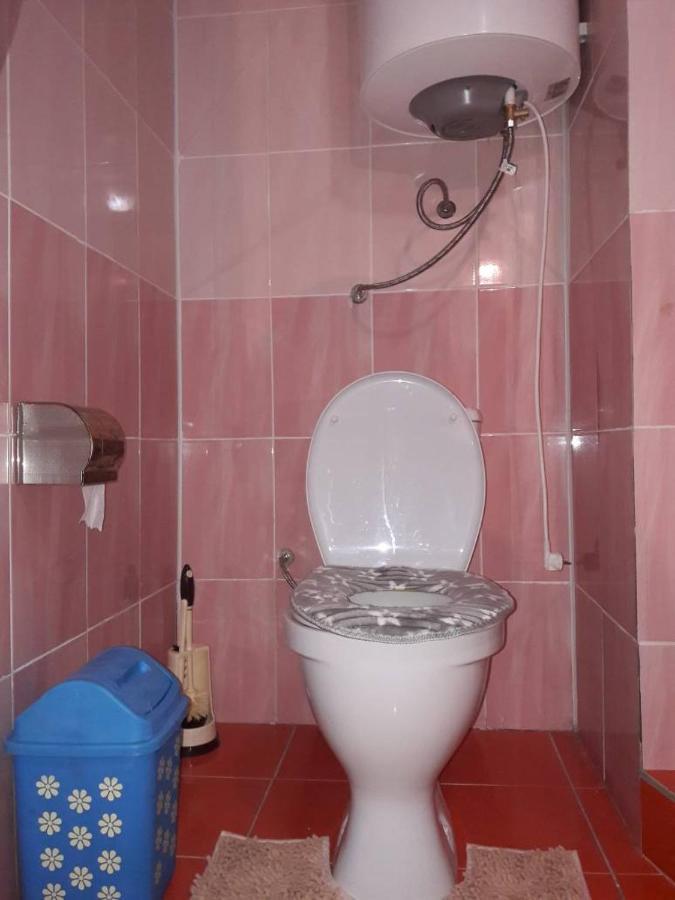 Bagysh Kyzart Guesthouse מראה חיצוני תמונה